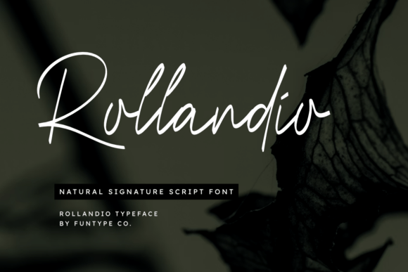 Rollandio: A Script Font for Modern, Elegant Branding