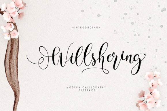 Will Shering: Crafting Authentic Brand Identities with a Font Duo